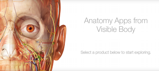 immagine di presentazione dell'archivio di immagini anatomiche Visible Body