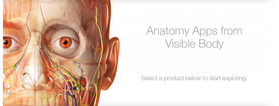 immagine di presentazione dell'archivio di immagini anatomiche Visible Body