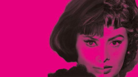 immagine della mostra Dive: mezzo volto di Sofia Loren e mezzo volto di Gina Lollobrigida affiancati su fondo rosa